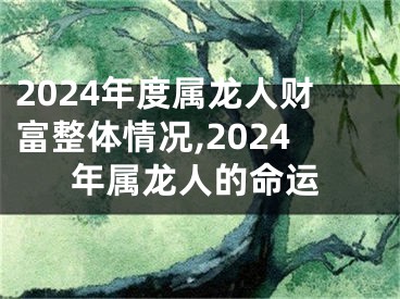 2024年度属龙人财富整体情况,2024年属龙人的命运