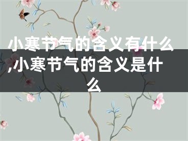 小寒节气的含义有什么,小寒节气的含义是什么