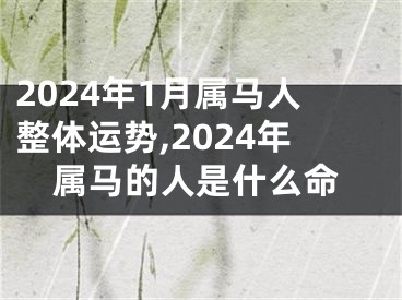 2024年1月属马人整体运势,2024年属马的人是什么命