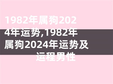 1982年属狗2024年运势,1982年属狗2024年运势及运程男性