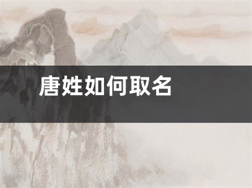  唐姓如何取名 