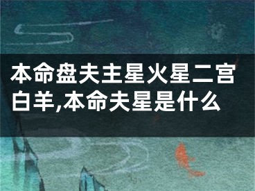 本命盘夫主星火星二宫白羊,本命夫星是什么