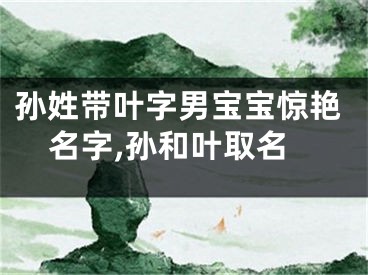 孙姓带叶字男宝宝惊艳名字,孙和叶取名