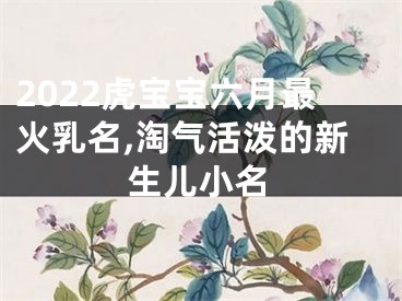 2022虎宝宝六月最火乳名,淘气活泼的新生儿小名