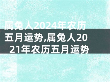 属兔人2024年农历五月运势,属兔人2021年农历五月运势