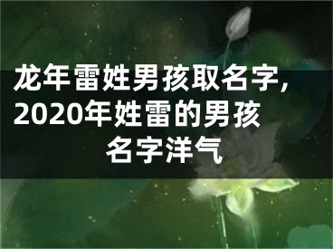 龙年雷姓男孩取名字,2020年姓雷的男孩名字洋气