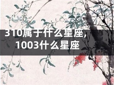 310属于什么星座,1003什么星座