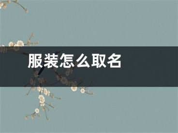  服装怎么取名 