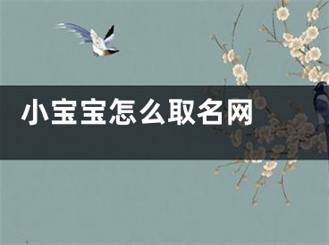  小宝宝怎么取名网 