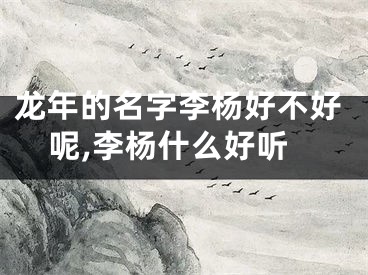 龙年的名字李杨好不好呢,李杨什么好听