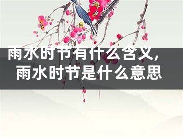 雨水时节有什么含义,雨水时节是什么意思