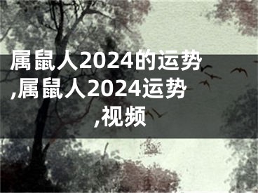 属鼠人2024的运势,属鼠人2024运势,视频