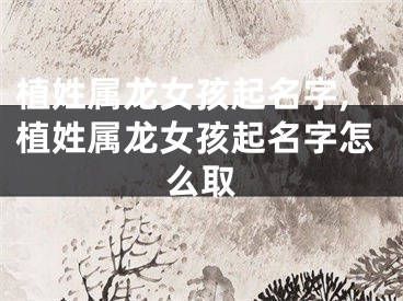 植姓属龙女孩起名字,植姓属龙女孩起名字怎么取