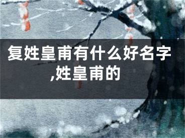 复姓皇甫有什么好名字,姓皇甫的