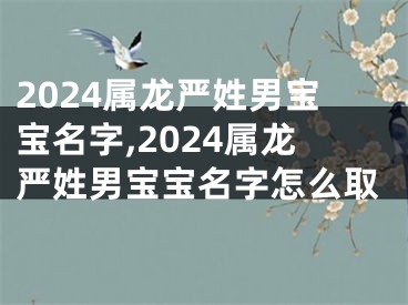 2024属龙严姓男宝宝名字,2024属龙严姓男宝宝名字怎么取