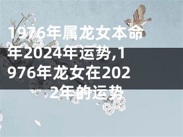 1976年属龙女本命年2024年运势,1976年龙女在2022年的运势