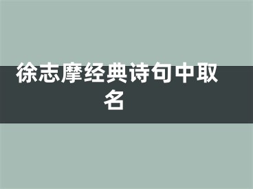  徐志摩经典诗句中取名 