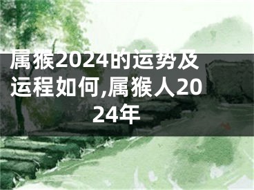 属猴2024的运势及运程如何,属猴人2024年