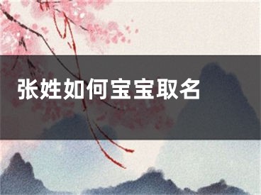  张姓如何宝宝取名 