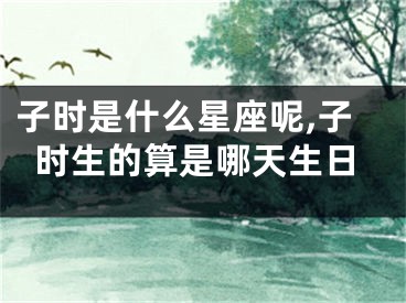 子时是什么星座呢,子时生的算是哪天生日