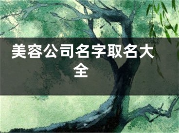  美容公司名字取名大全 