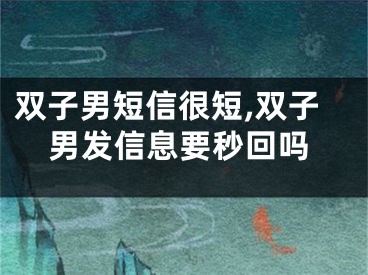 双子男短信很短,双子男发信息要秒回吗