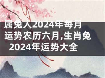 属兔人2024年每月运势农历六月,生肖兔2024年运势大全