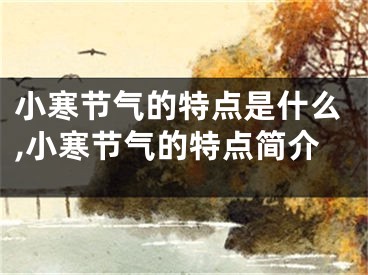 小寒节气的特点是什么,小寒节气的特点简介