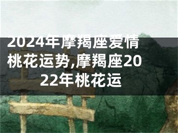 2024年摩羯座爱情桃花运势,摩羯座2022年桃花运