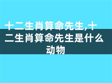 十二生肖算命先生,十二生肖算命先生是什么动物