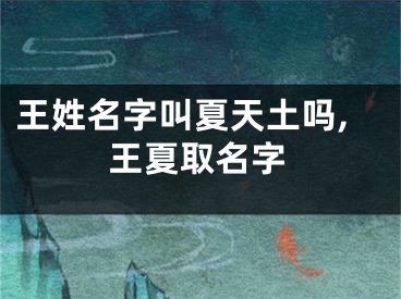 王姓名字叫夏天土吗,王夏取名字