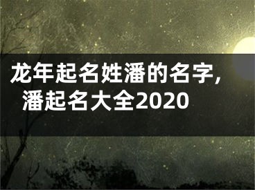 龙年起名姓潘的名字,潘起名大全2020