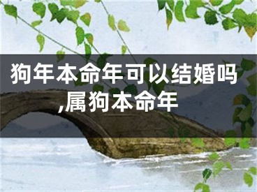 狗年本命年可以结婚吗,属狗本命年