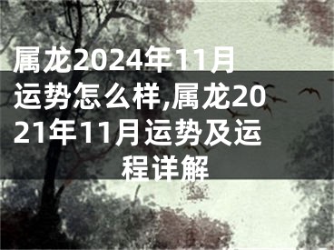 属龙2024年11月运势怎么样,属龙2021年11月运势及运程详解