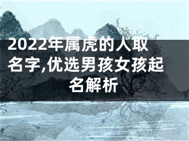 2022年属虎的人取名字,优选男孩女孩起名解析