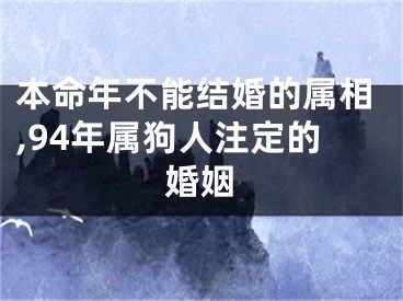 本命年不能结婚的属相,94年属狗人注定的婚姻