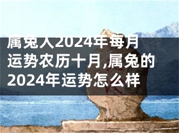 属兔人2024年每月运势农历十月,属兔的2024年运势怎么样