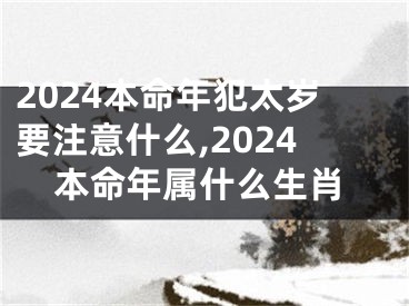 2024本命年犯太岁要注意什么,2024本命年属什么生肖