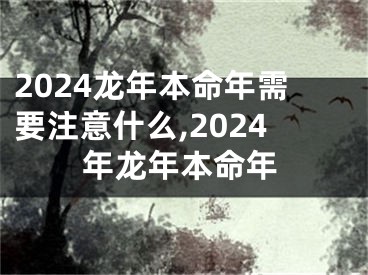 2024龙年本命年需要注意什么,2024年龙年本命年