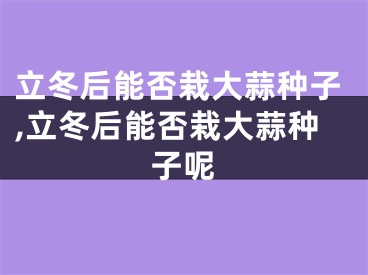 立冬后能否栽大蒜种子,立冬后能否栽大蒜种子呢