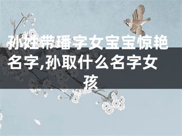 孙姓带璠字女宝宝惊艳名字,孙取什么名字女孩