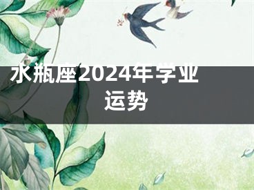 水瓶座2024年学业运势