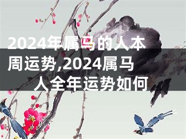 2024年属马的人本周运势,2024属马人全年运势如何