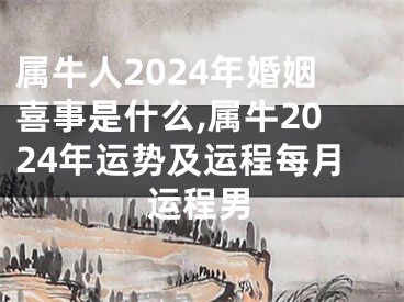 属牛人2024年婚姻喜事是什么,属牛2024年运势及运程每月运程男