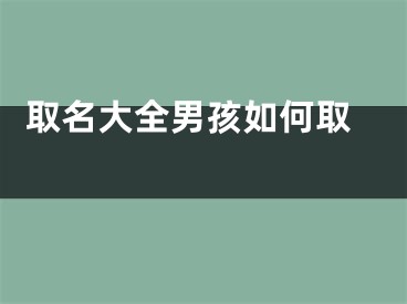  取名大全男孩如何取 