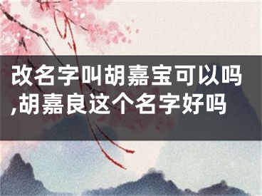 改名字叫胡嘉宝可以吗,胡嘉良这个名字好吗