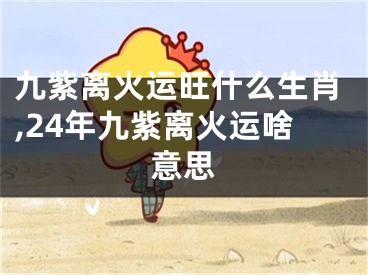 九紫离火运旺什么生肖,24年九紫离火运啥意思