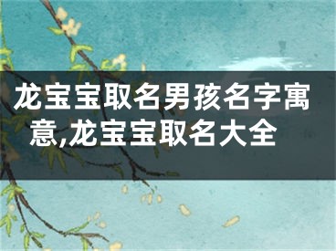 龙宝宝取名男孩名字寓意,龙宝宝取名大全