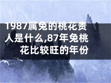 1987属兔的桃花贵人是什么,87年兔桃花比较旺的年份