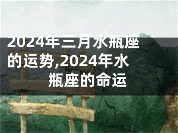 2024年三月水瓶座的运势,2024年水瓶座的命运